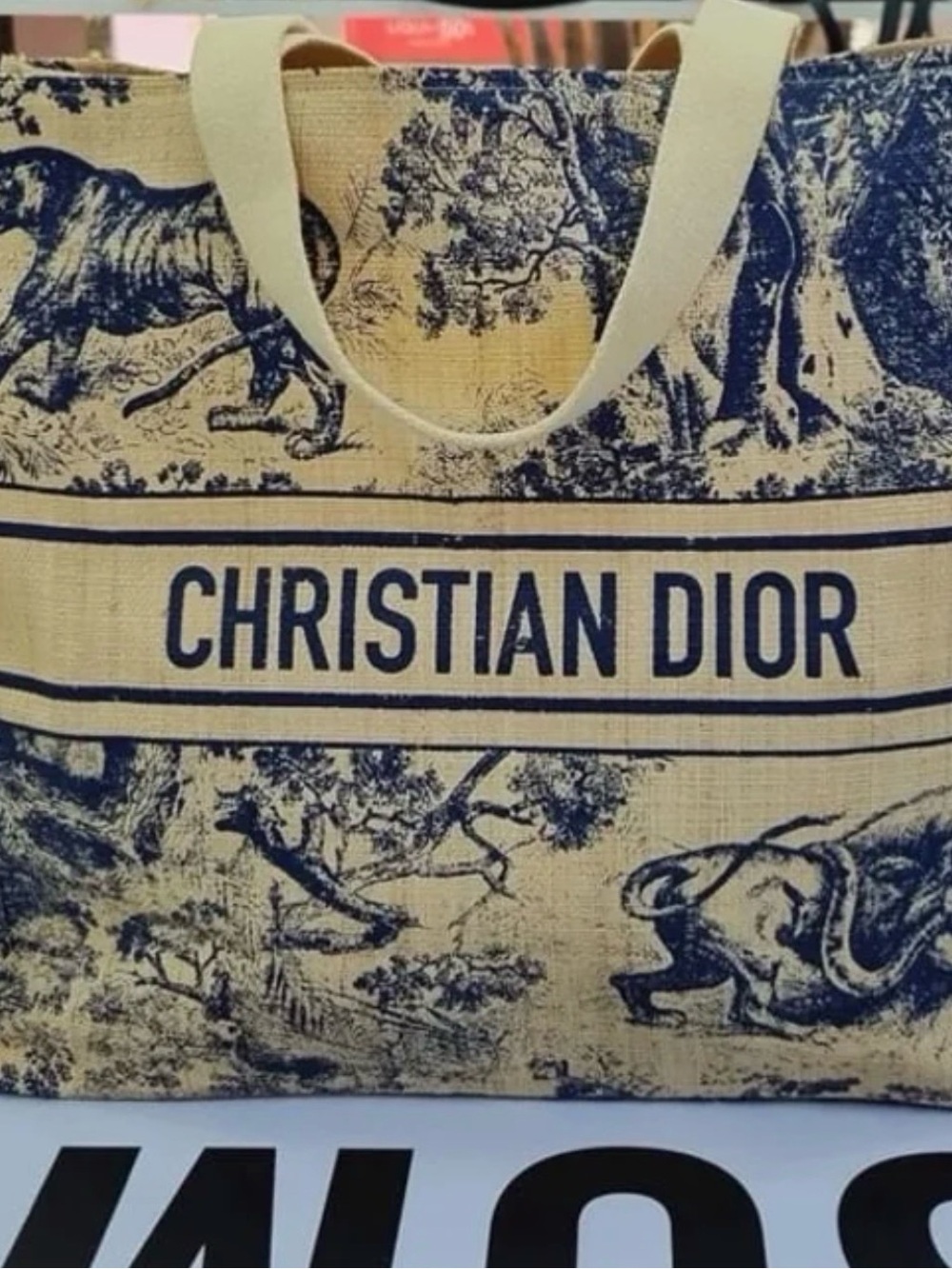 Dior Woven Canvas Tote - Picture 3 of 10
